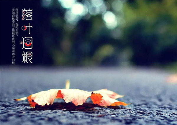 中国人的落叶归根